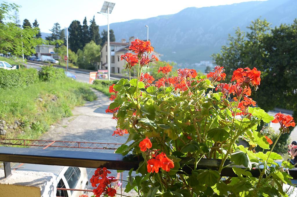 Apartment Luka Kotor Dış mekan fotoğraf
